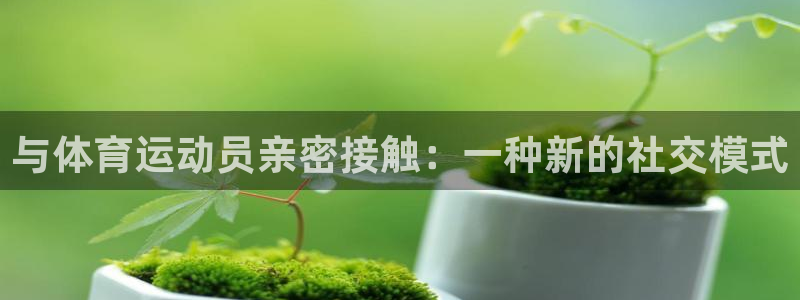 vsport体育在线官网
