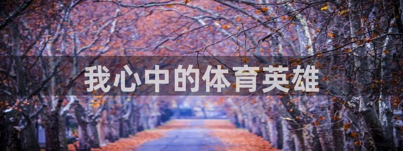 vsport体育在线官网：我心中的体育英雄