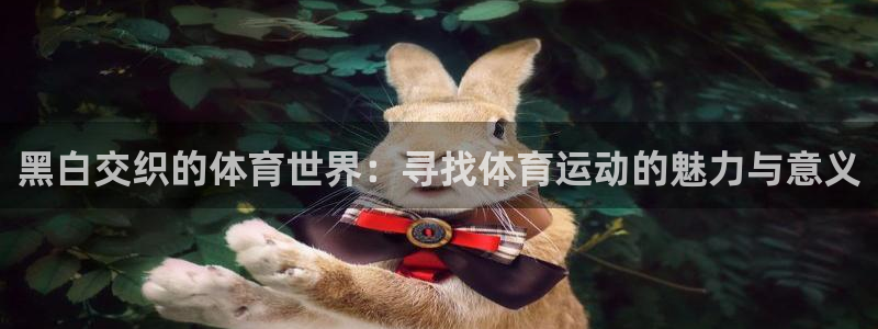 vsport体育：黑白交织的体育世界：寻找体育运动的魅力与意义