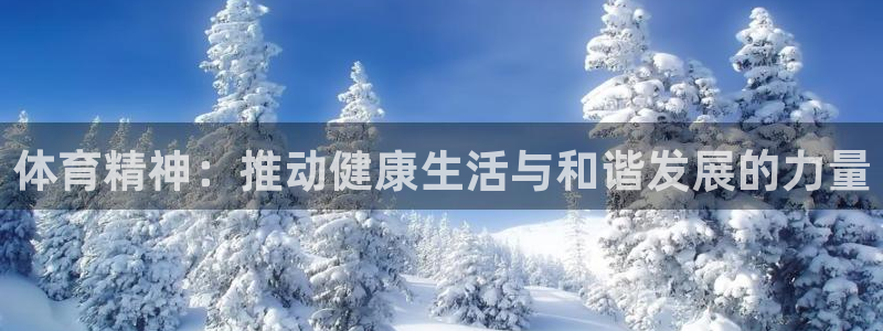 vsport体育在线官网：体育精神：推动健康生活与和谐发展的力量