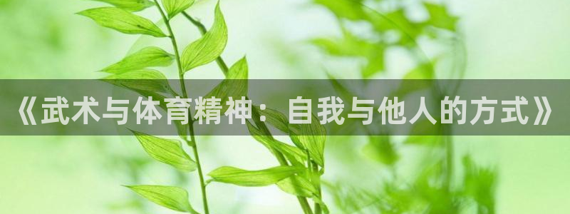 vsport体育在线官网：《武术与体育精神：自我与他人的方式》
