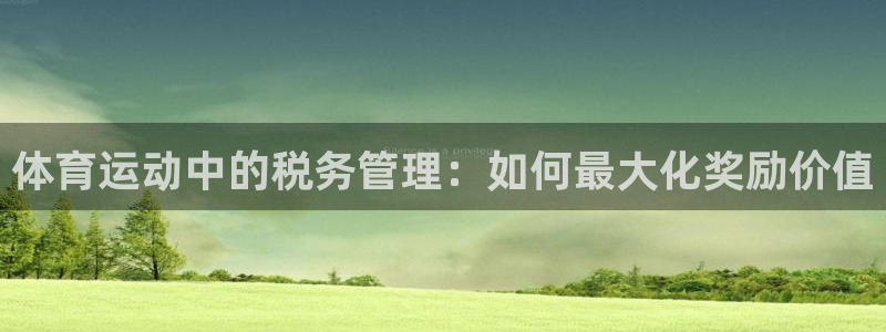 vsport体育在线官网：体育运动中的税务管理：如何最大化奖励价值