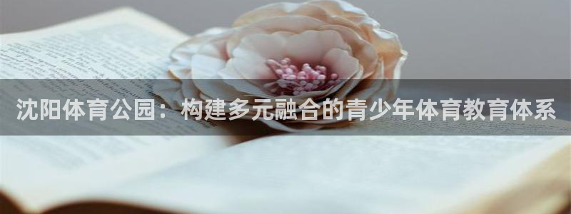 vsport体育