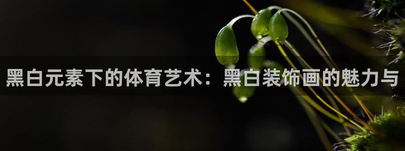 vsport体育在线官网
